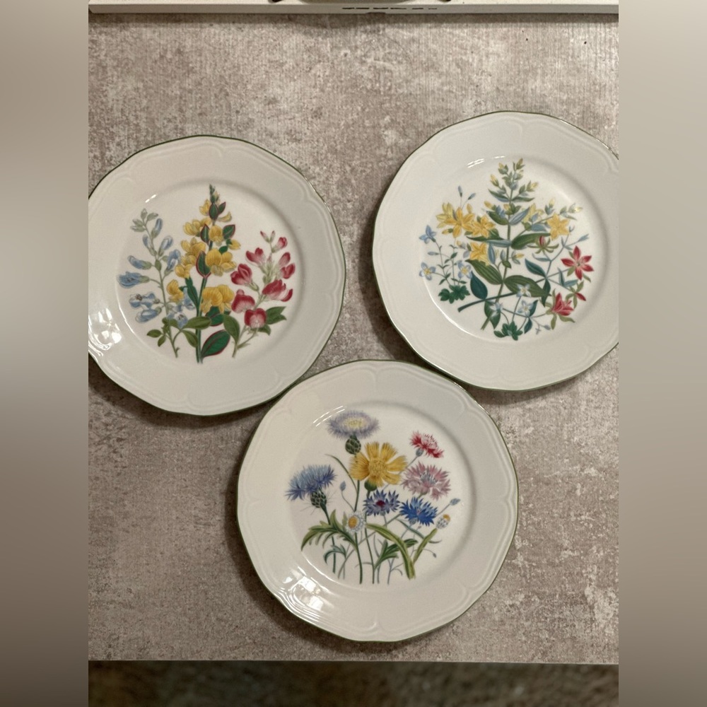 Vintage BAREUTHER WALDSASSEN Wildflowers Floral Plates- Made in Bavaria Germany